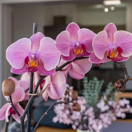 Canteras Ocean Terrace - Atico Con Terraza Y Vistas A Canteras Apartamento *