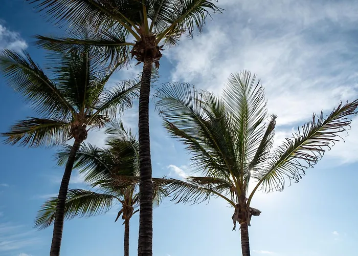 Апартаменти Canteras Ocean Terrace - Atico Con Terraza Y Vistas A Canteras *