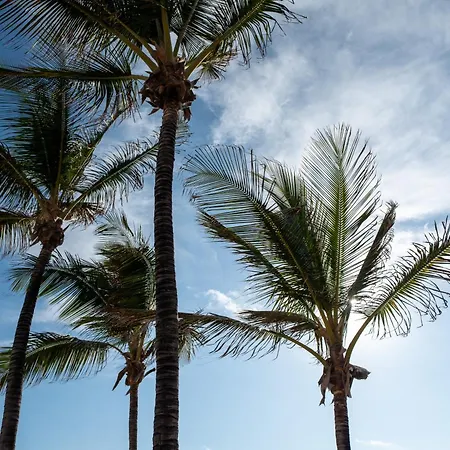 דירה Canteras Ocean Terrace - Atico Con Terraza Y Vistas A Canteras *